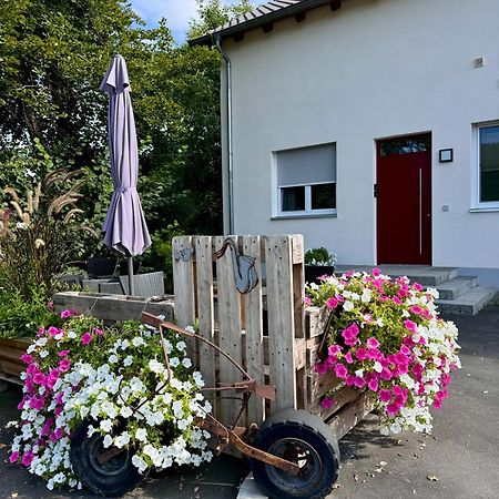 Ferienwohnungen Frank Segnitz Экстерьер фото
