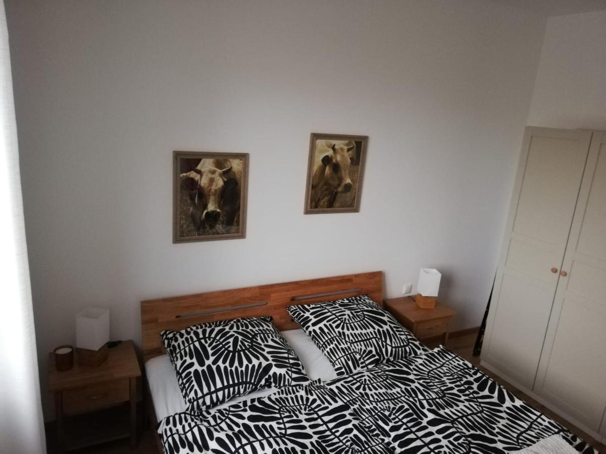 Ferienwohnungen Frank Segnitz Экстерьер фото