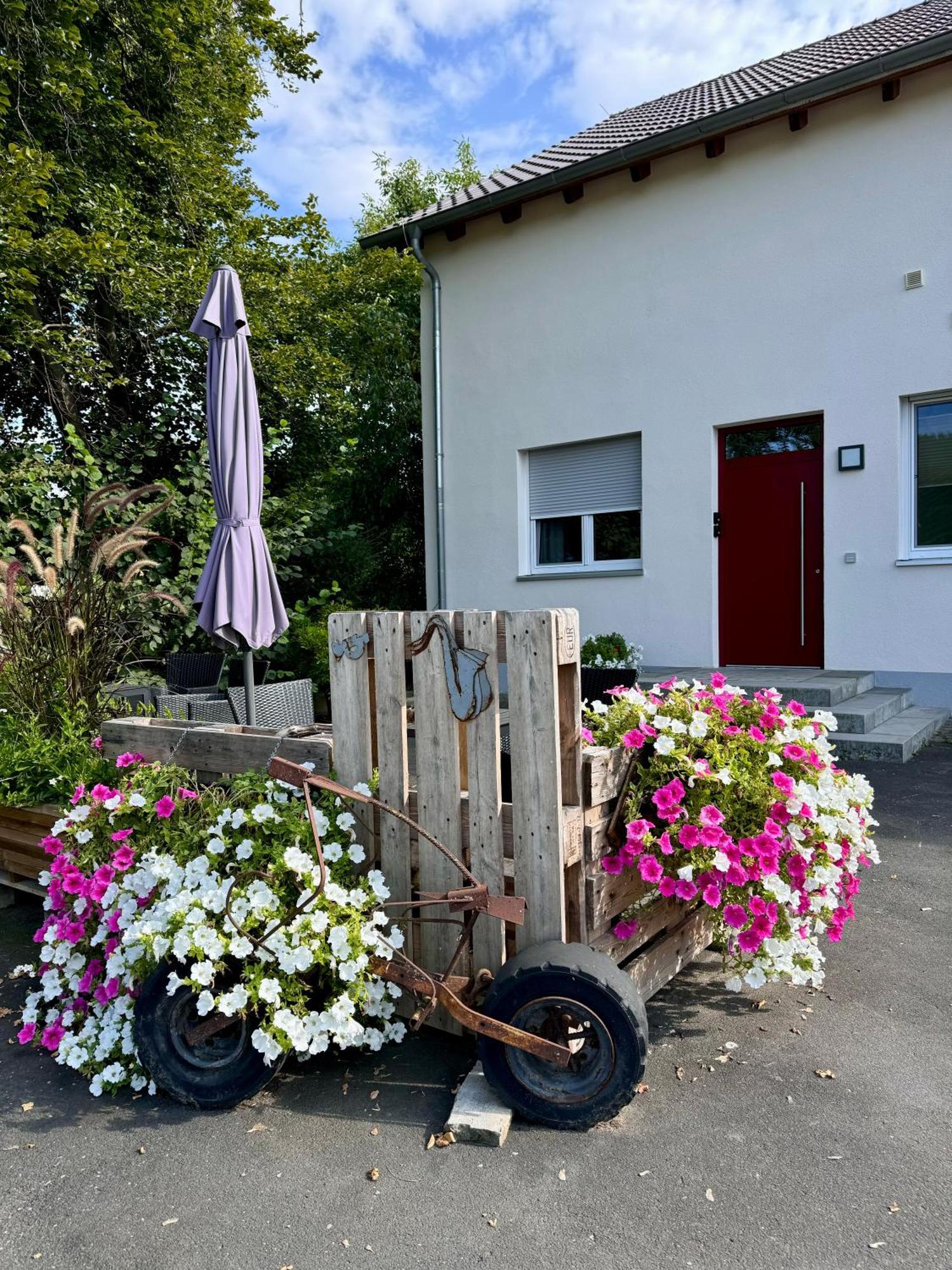 Ferienwohnungen Frank Segnitz Экстерьер фото